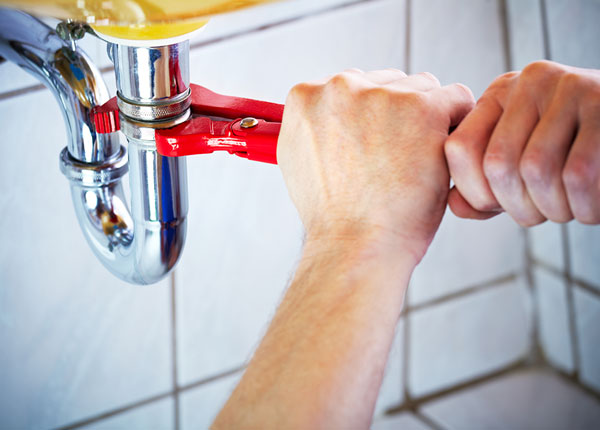 About Olympia Plumbers